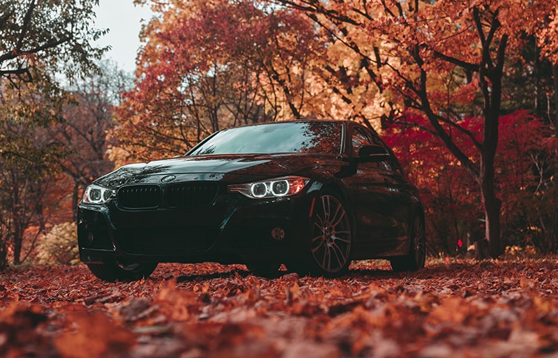 How To Choose The Right Paint Refinishing Company In Tampa Bay In Riverview, Fl And Valrico, Fl Fall Paint Care Tips 2 How To Choose The Right Paint Refinishing Company In Tampa Bay In Riverview, Fl And Valrico, Fl Fall Paint Care Tips 2